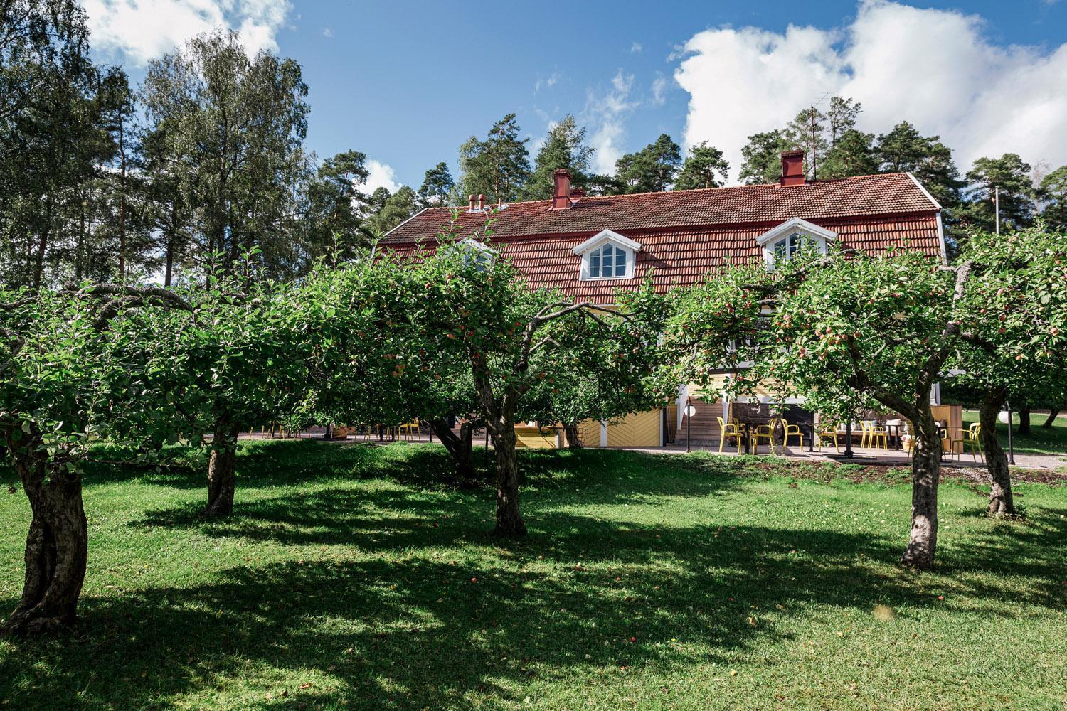 Tammiston Cottages 纳坦利 外观 照片